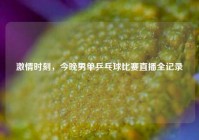 激情时刻，今晚男单乒乓球比赛直播全记录