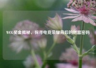 WCG奖金揭秘，探寻电竞荣耀背后的财富密码