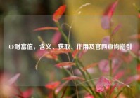 CF财富值，含义、获取、作用及官网查询指引
