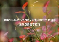 揭秘PUBG粘贴名字方法，轻松打造个性标识与复制自身名字技巧