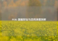 PUBG 国服好玩与否的深度剖析