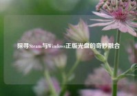 探寻Steam与Windows正版光盘的奇妙融合