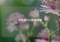 小玄的CSGO逐梦征程