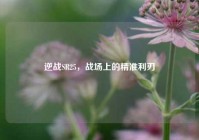 逆战SR25，战场上的精准利刃