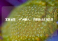 莱赫维亚1 - 4广州恒大，绿茵激战全场回顾