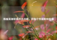 韩服英雄联盟改名攻略，获取个性新昵称指南