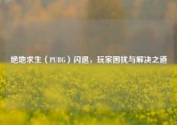 绝地求生（PUBG）闪退，玩家困扰与解决之道