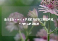 绝地求生（PUBG）多渠道集结队友畅玩攻略，平台组队优势解析