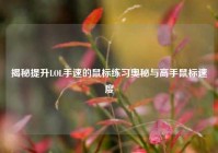 揭秘提升LOL手速的鼠标练习奥秘与高手鼠标速度