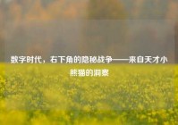 数字时代，右下角的隐秘战争——来自天才小熊猫的洞察