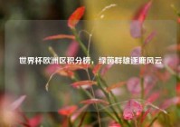 世界杯欧洲区积分榜，绿茵群雄逐鹿风云