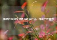 揭秘PUBG绿火设置与还原方法，打造个性特效