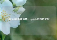 当CSGO邂逅蔡依林，egoholic的奇妙交织