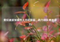 奥拉迪波加盟热火开启新篇，助力球队增添战力