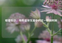 哈登生日，传奇篮球生涯中的又一特别时刻