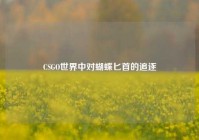 CSGO世界中对蝴蝶匕首的追逐
