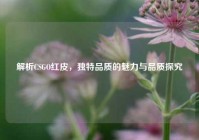 解析CSGO红皮，独特品质的魅力与品质探究