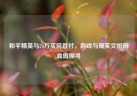 和平精英与24万买房首付，游戏与现实交织的真假探寻
