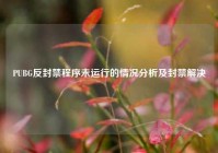 PUBG反封禁程序未运行的情况分析及封禁解决