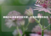 揭秘PUBG银面罩获取攻略，打造游戏独特身份