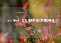 PUBG与MKV，游戏与视频格式的奇妙碰撞