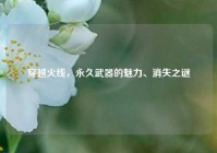 穿越火线，永久武器的魅力、消失之谜