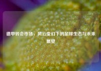 德甲转会市场，风云变幻下的足球生态与未来展望