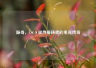 源哥，CSGO 里热爱铸就的电竞传奇