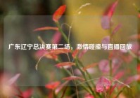 广东辽宁总决赛第二场，激情碰撞与直播回放