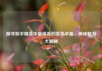 探寻和平精英中最稀有的紫色华服，神秘魅力大揭秘