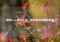 揭秘Steam游戏礼物，探索背后隐藏的奥秘