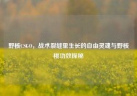 野核CSGO，战术裂缝里生长的自由灵魂与野核桃功效探秘
