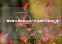 王者荣耀天魔退场时峡谷风停半秒的时间之谜