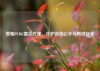 警惕PUBG雷达代理，守护游戏公平与网络安全