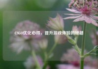 CSGO优化心得，提升游戏体验的秘籍