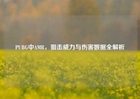 PUBG中AMR，狙击威力与伤害数据全解析