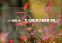 2026杭州CSGO，军方赞助开启电竞新视野