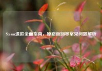 Steam退款全面指南，原路返回等常见问题解析