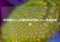 探寻畅玩Steam外服的高效利器，Steam外服加速器