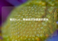 畅玩Steam，揭秘高效加速器的奥秘