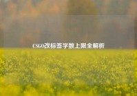 CSGO改标签字数上限全解析