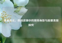 基金裕元，市场浪潮中的独特身影与股票表现探究