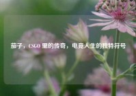 茄子，CSGO 里的传奇，电竞人生的独特符号