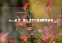 Steam社区，暖心借衣与跨国聊天轶事