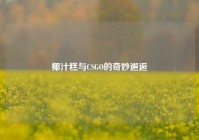 椰汁糕与CSGO的奇妙邂逅
