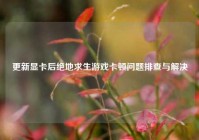 更新显卡后绝地求生游戏卡顿问题排查与解决