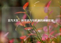 北方大区，探寻活力与机遇的神秘区域