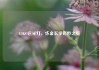 CSGO远光灯，炼金玄学奇妙之旅