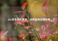 2022年非洲杯赛程，点燃非洲足球热情
