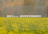 黑客与Steam，虚拟世界中的隐秘博弈